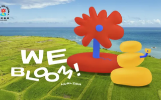 花蓮全新 IP 亮相！陳普與日目 247 團隊打造：以「小石花」為意象，展現震後的堅韌與希望